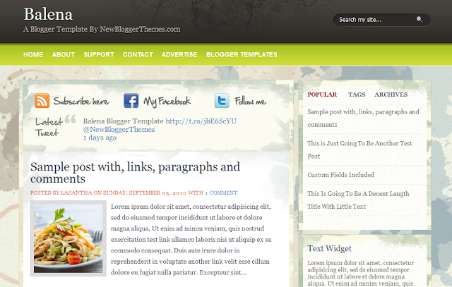 Blogger Templates Blogger Template