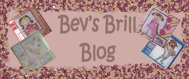 Bev's brill blog