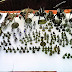 What's On Your Table: 10,000pts of Craftworld Eldar
