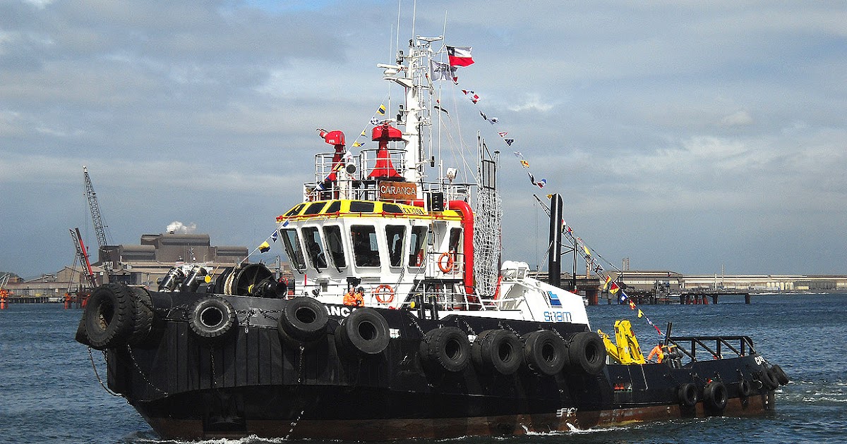 La importancia del transporte marítimo en Holanda Servicios y