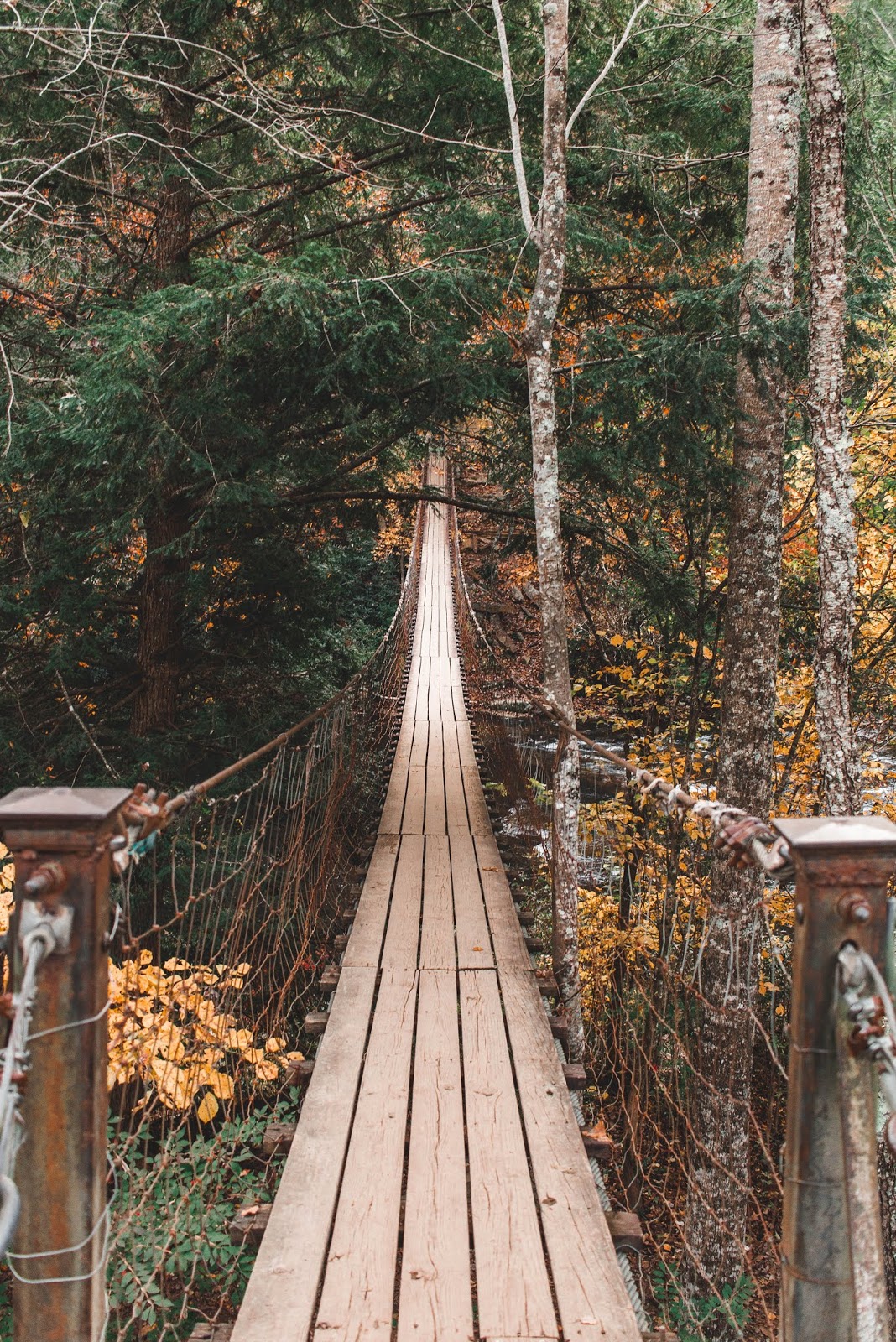 A Guide To Fall Creek Falls State Park 7 Things To Do