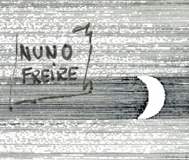 Nuno Freire
