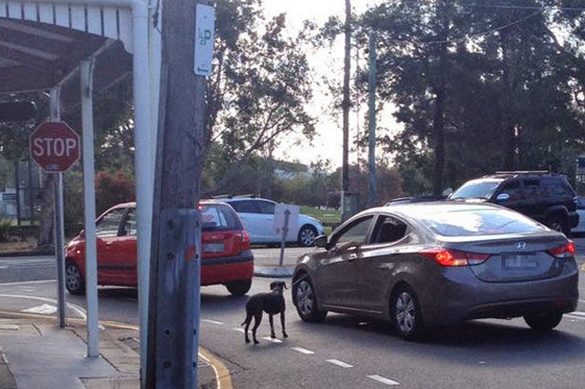 Неправильно 35. Неправильная осанка может привести к смещению. Неправильная осанка может привес. Неправильная осанка может привести к. Неправильно 35.