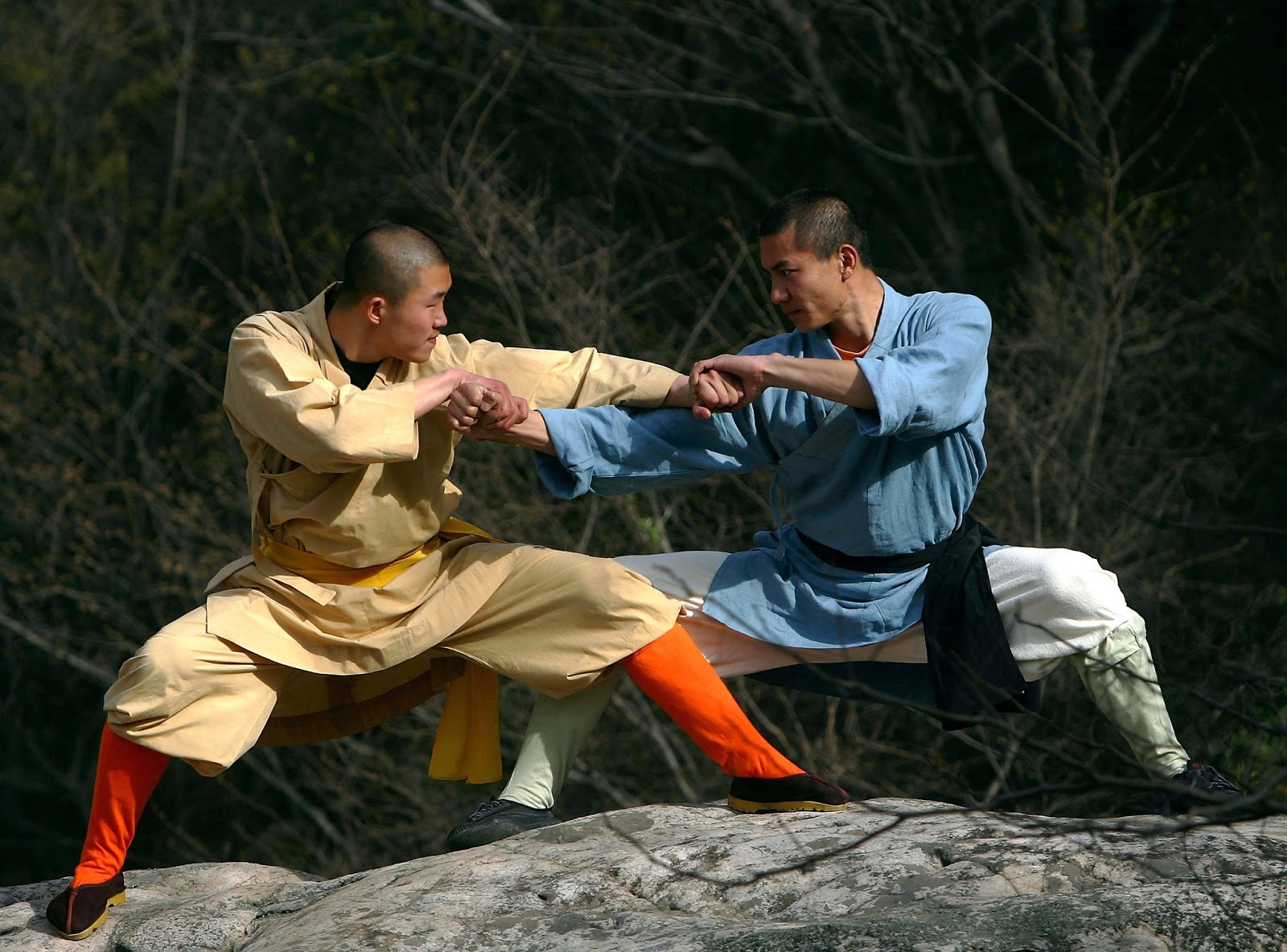 World Wide Martial Arts Kung Fu
