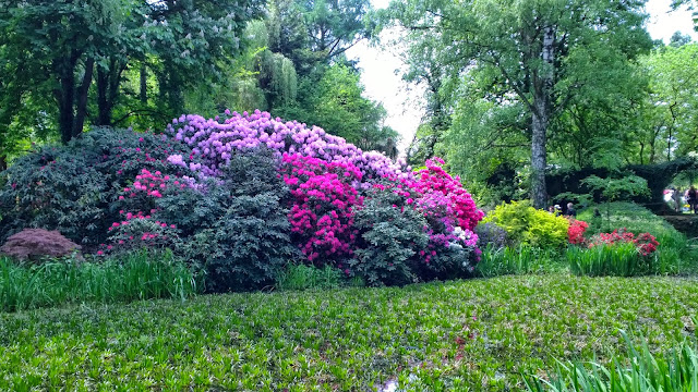 Rhododendren-Blüte Gartentage Schloßpark Dennenlohe (c) by Joachim Wenk Rhododendren-Blüte Gartentage Schloßpark Dennenlohe (c) by Joachim Wenk