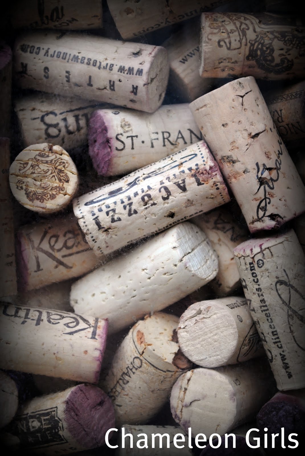 Someday Crafts Guest Blogger Chameleon Girls Wine Cork Cork Board