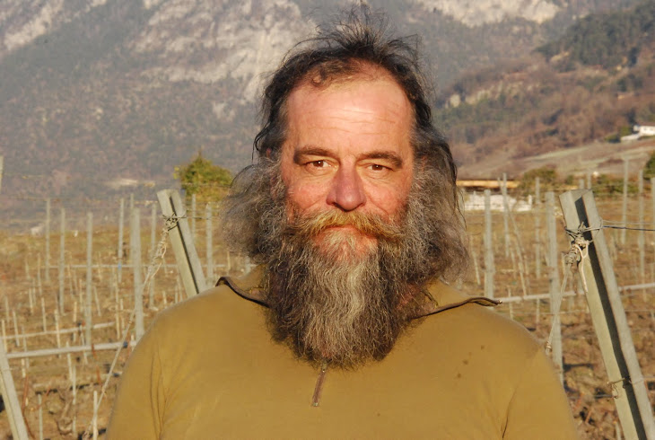 Les 100 ans de l'Abbé Pierre Emmaüs vendange sa vigne le 17 mars 2012 à 16h00 sur la colline