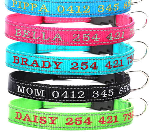 dog-collars-with-names