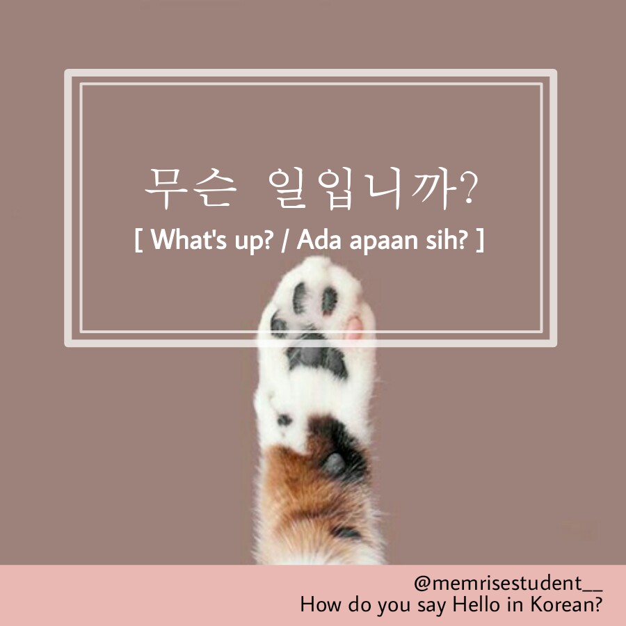 What's up? How to say what's up in Korean?