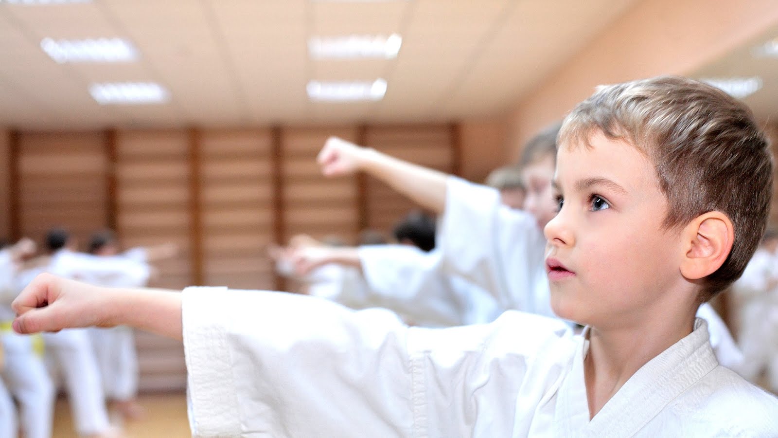 Nunchaku Karate Sticks Called Karate Choices