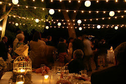 lights string outdoor lighting globe backyard reception canopy christmas hang outside patio let hammer dining lanterns led receptions al looking