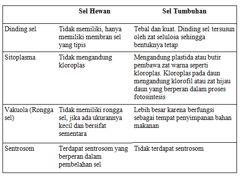 INILAH SISTEM ORGANISASI KEHIDUPAN INILAH SISTEM ORGANISASI KEHIDUPAN