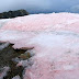 A PERIGOSA "NEVE DE MELANCIA" QUE PREOCUPA OS CIENTISTAS.
