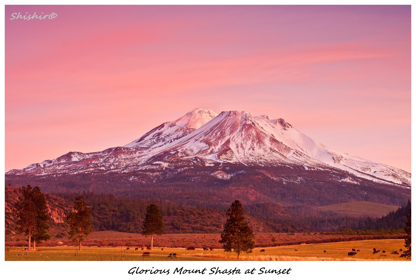Dreams... Mount Shasta....