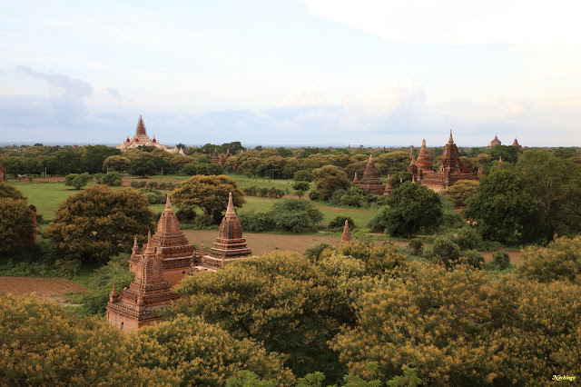 Objetivo Birmania - Blogs de Myanmar - 14-08-16 Primer día en Bagan. (12)