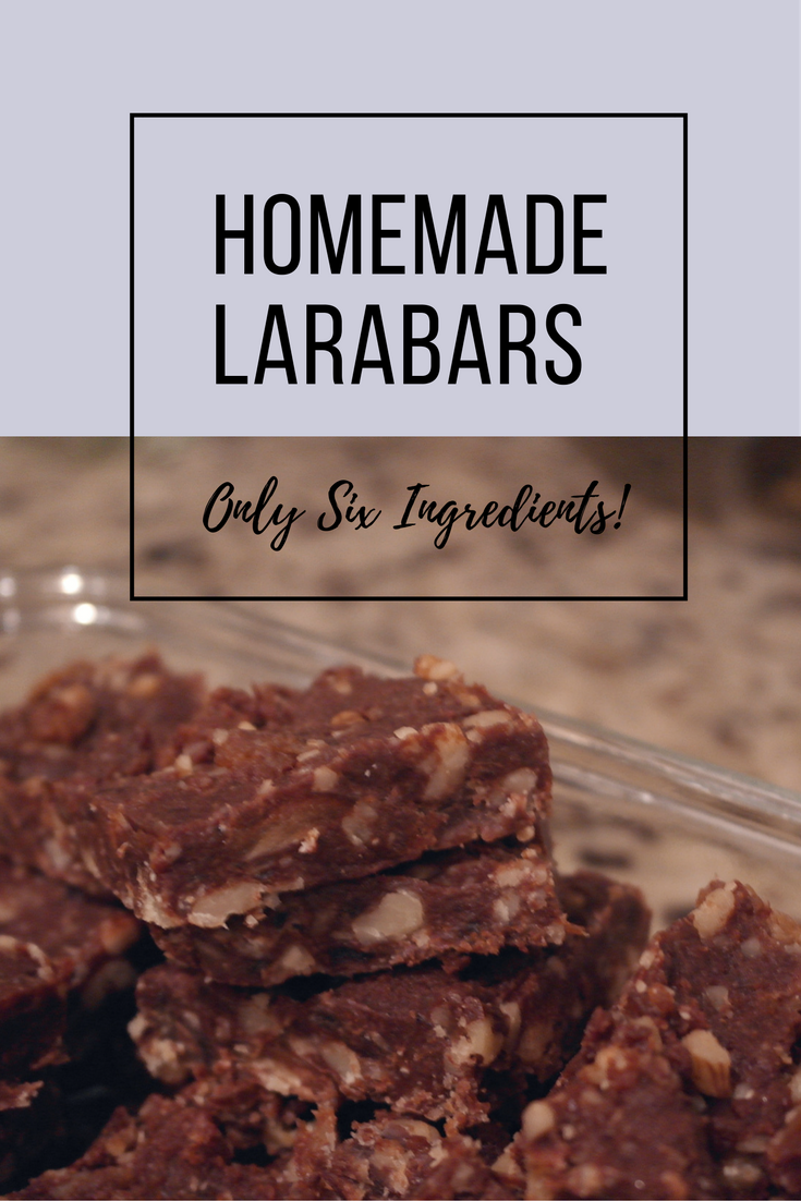My Life Being Renewed Homemade Larabars!