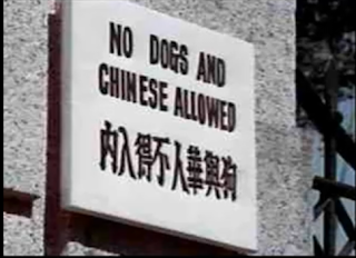 dogsandchinese.png