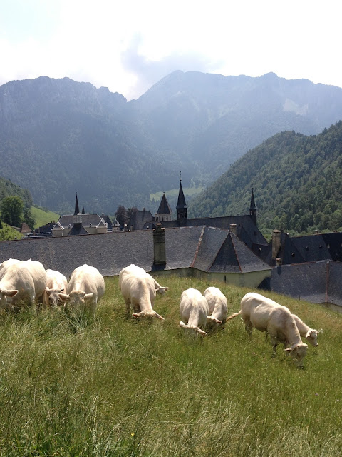 Sweet kwisine, alpes, grenoble, annecy, belledonne, savoie, vercors, chartreuse