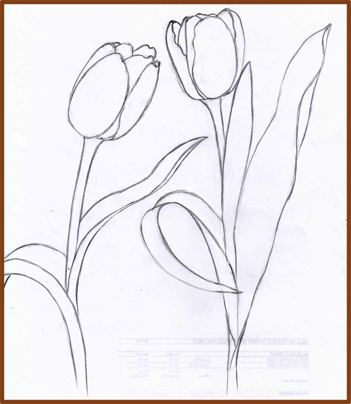Weekly : Doodles and tuts: How to draw a Tulip: Method 4