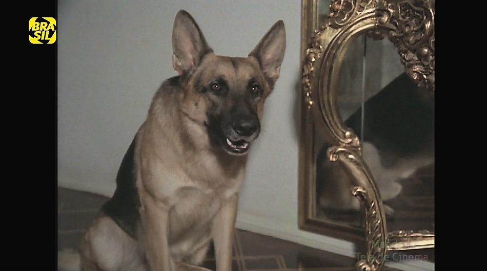 VIGILANTE RODOVIÁRIO EP: PILOTO (HDTV/NACIONAL/1080P) - 1978 Vigilante%2B01