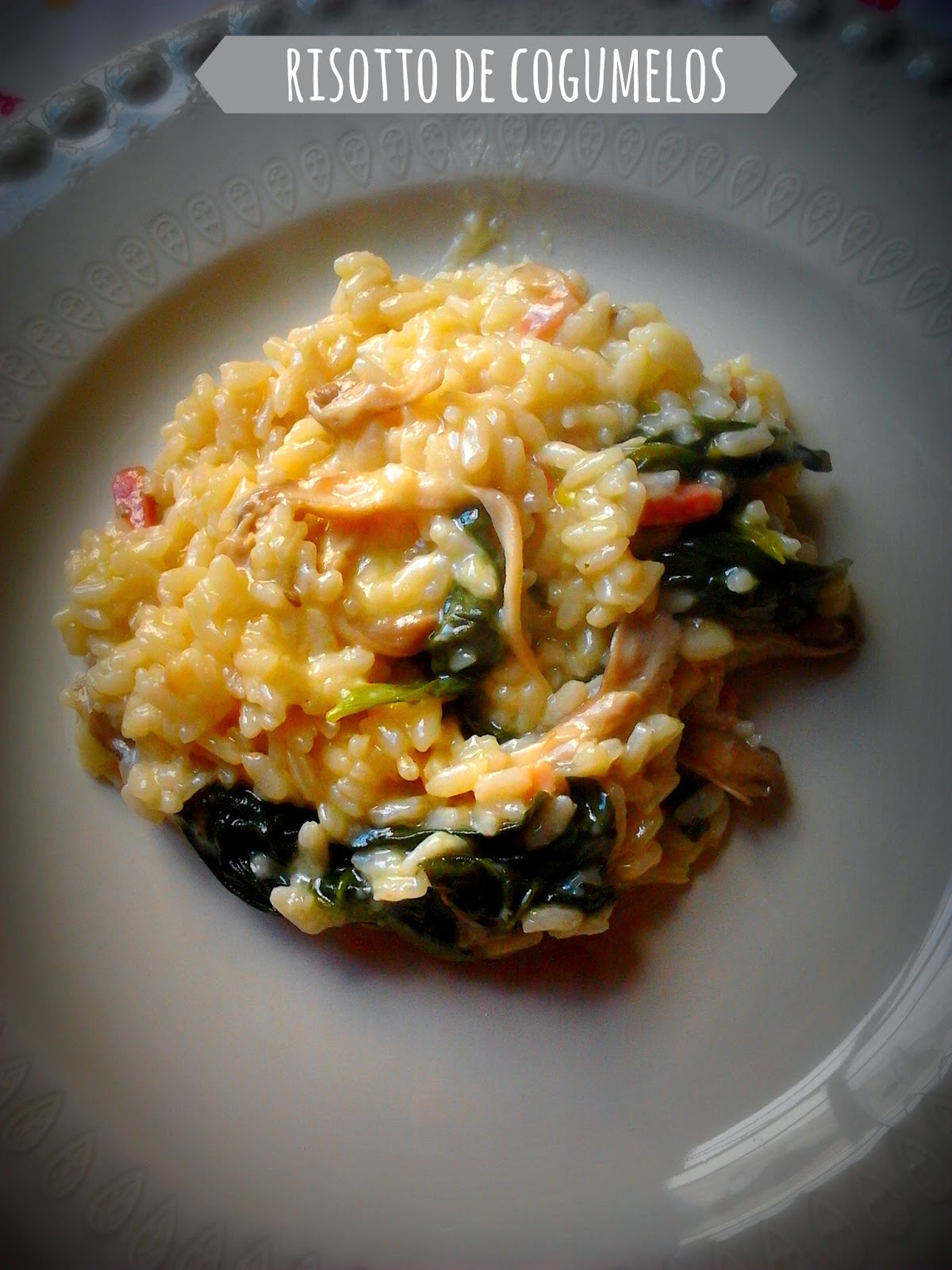 donabimby Risotto de Cogumelos