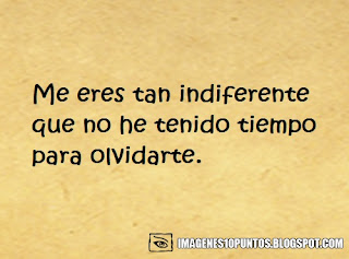 frases para insultar frases para insultar