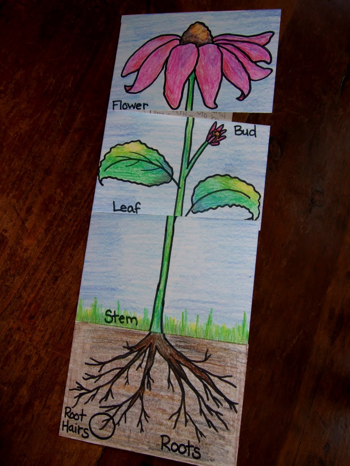 The Inspired Classroom: August 2011