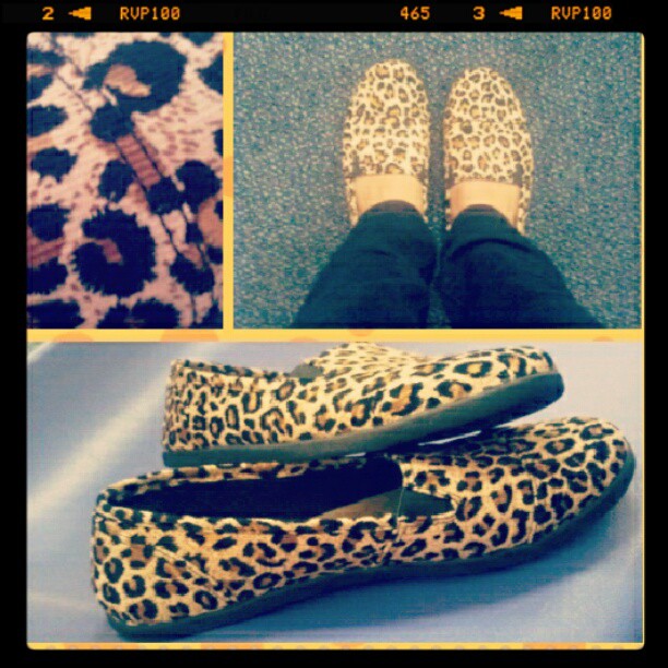 leopard toms flats