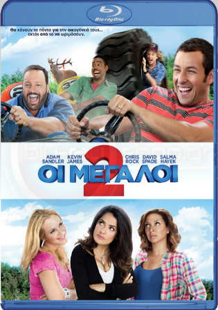 Grown Ups 2 2013 BluRay 300MB Hindi Dual Audio 480p