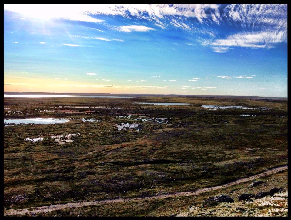 The Nunavut Dream Whale Cove Nunavut An Inside Look from a Qabluna