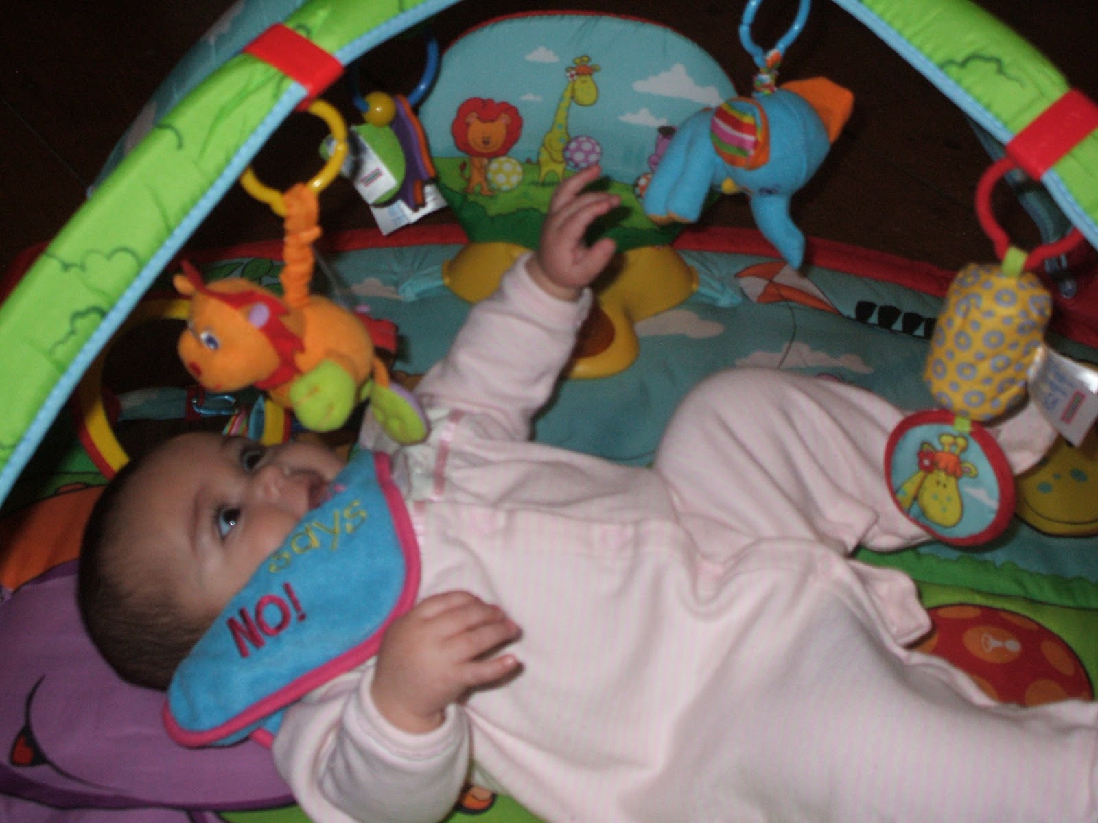 tiny love jungle park activity gym