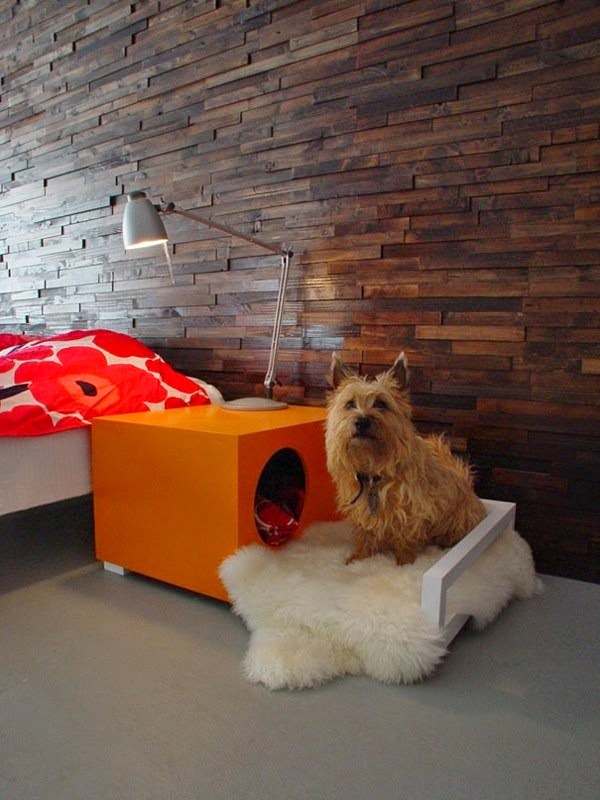 20 cool gift ideas for dogs