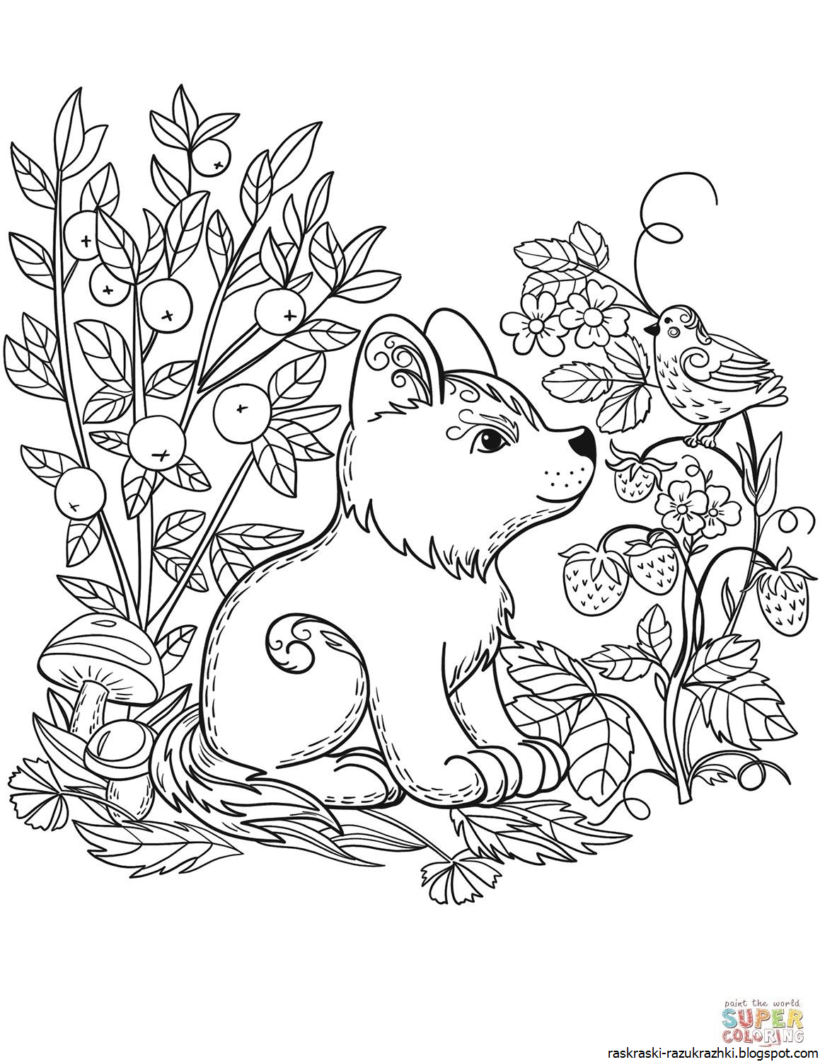 Раскраски Животных Для Детей 10 12 Лет