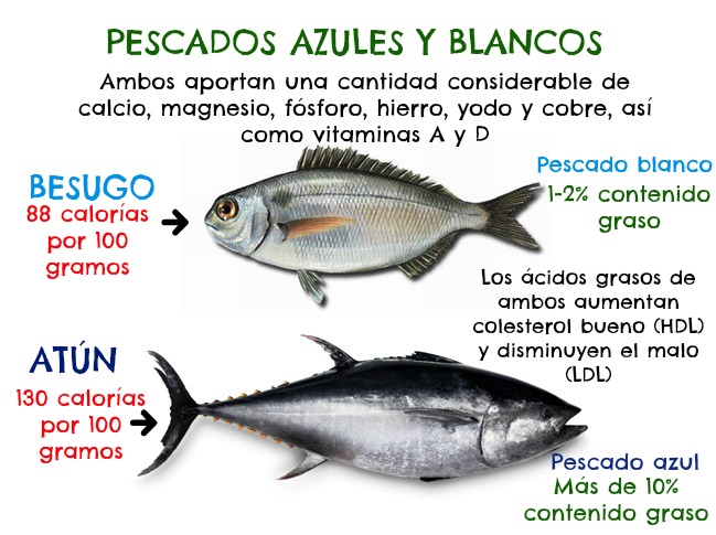 Clasificacion de pescados azules y blancos