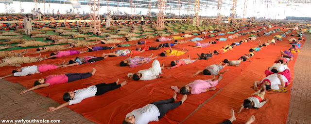 International Yoga Day Camp 2016 - Dera Sacha Sauda, Green S Welfare Force and Dera Sacha Sauda Shah Satnam Ji Educational Institute students performing yoga, डेरा सच्चा सौदा में आयोजित योग शिविर