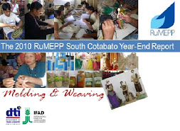 2010 RuMEPP Year-end Report