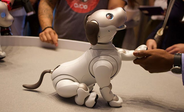 The is a images Sonny Anl Robot Sonny Anl Robot