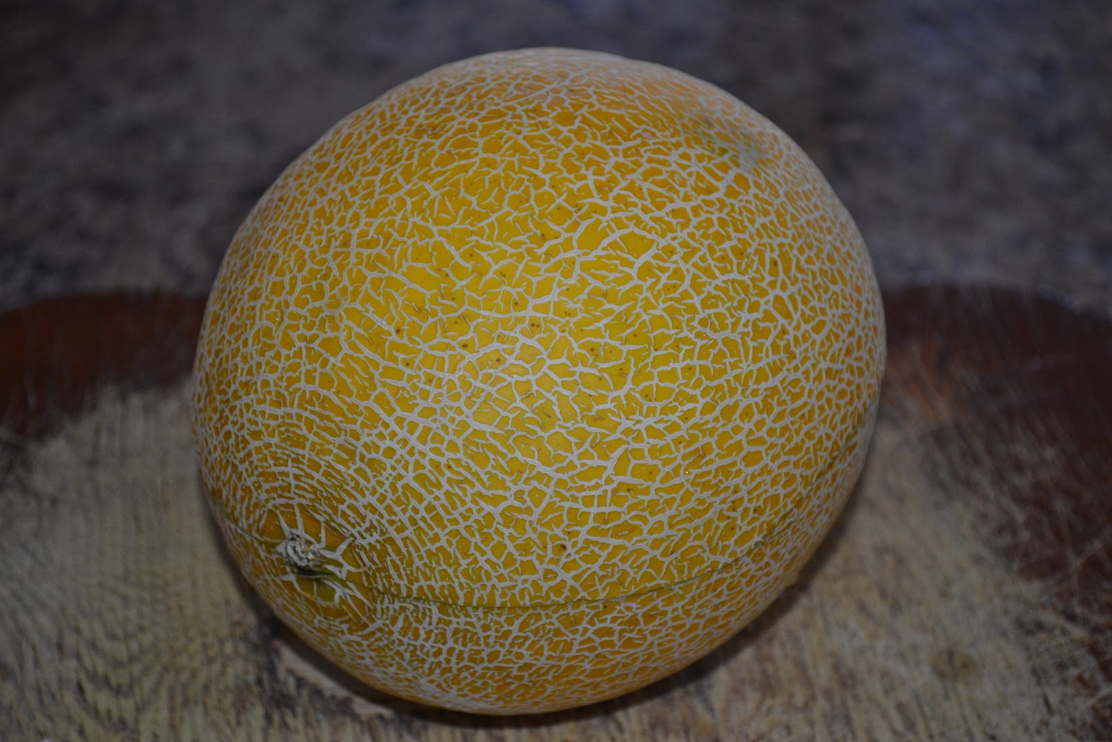 Galia Melon Have you had one?