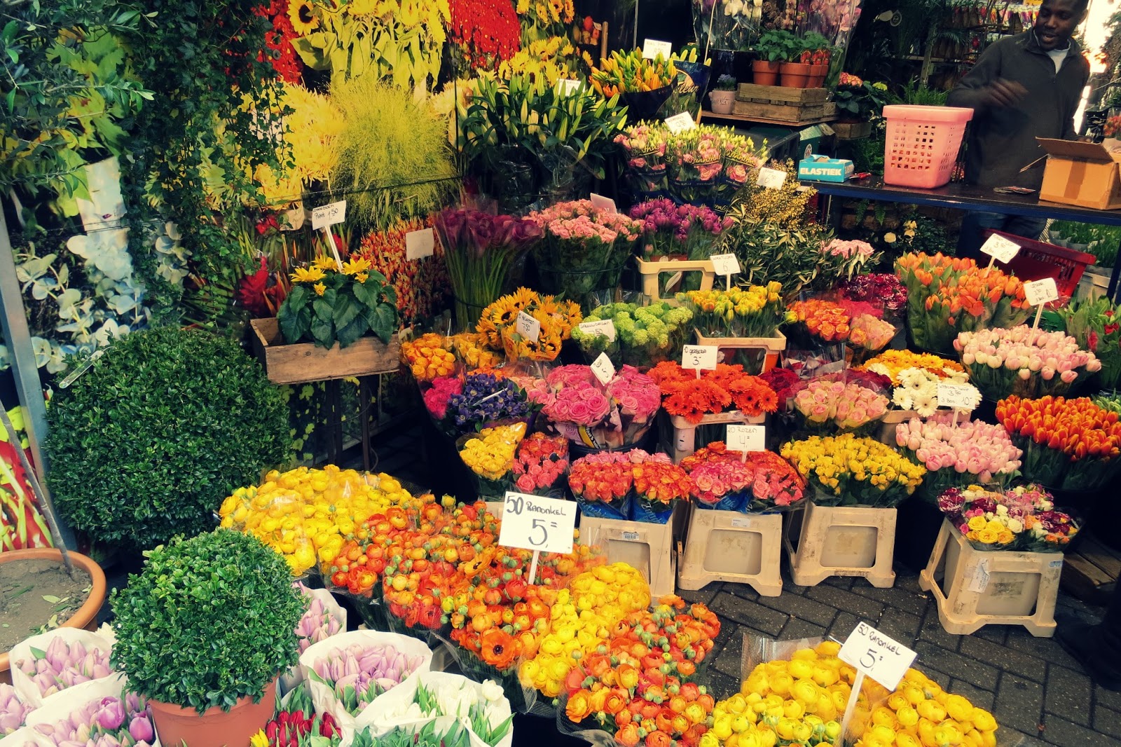Как работает рижский рынок. Рижский рынок. Рижский цветочный рынок. Рижский рынок цветы в горшках. Композиции цветов на Рижском рынке.