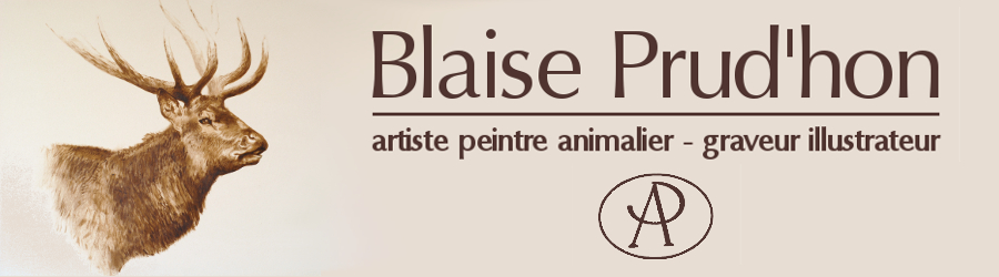 Le blog de Blaise Prud'hon, peintre animalier