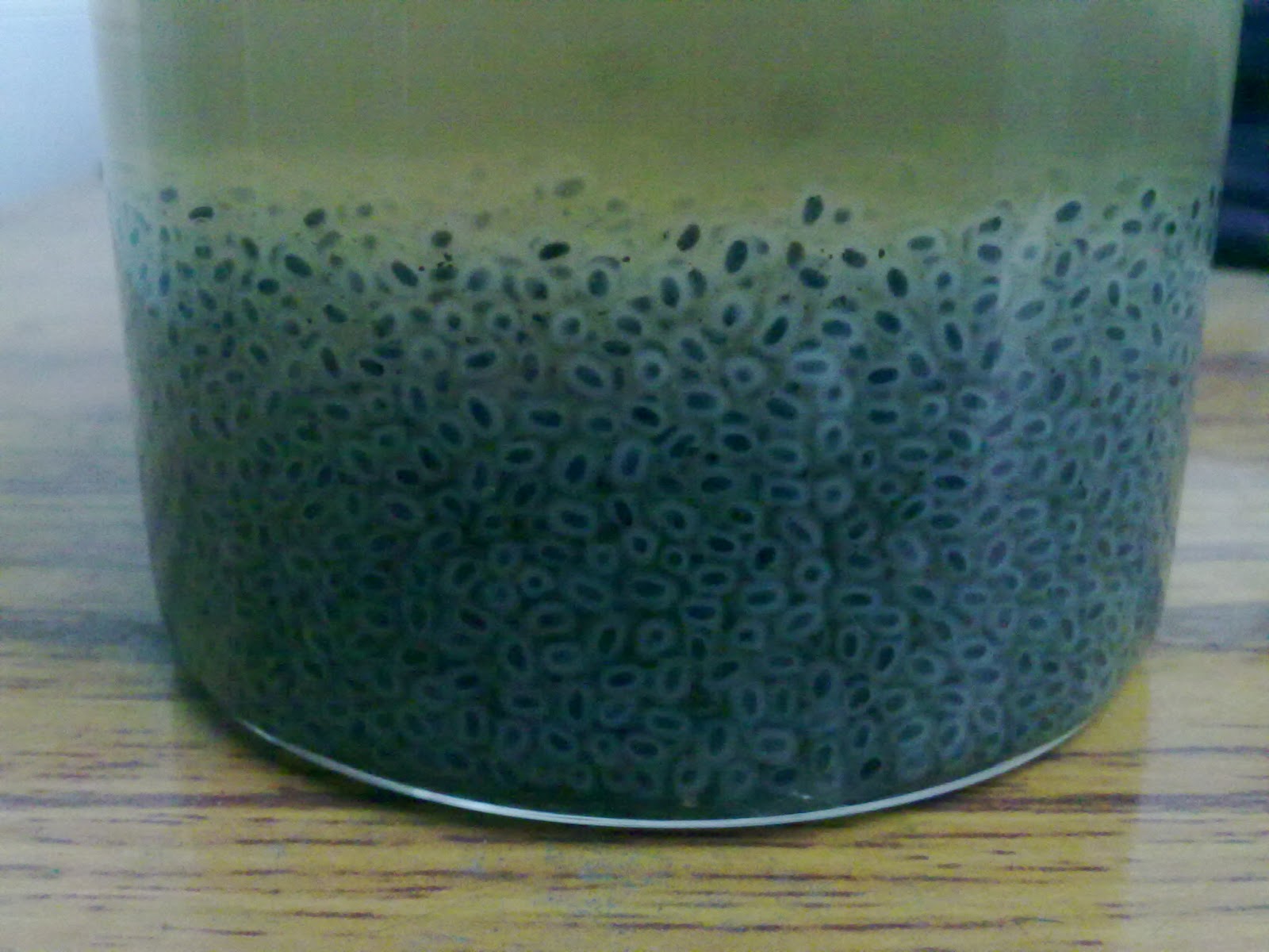 Tasty Healthy Easy Indian Recipes Basil Seed (Sabja) Drink