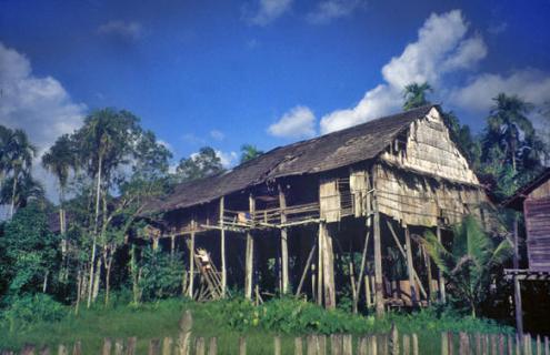 BORNEO DIGEST ORANG DUSUN BERASAL DARI KALIMANTAN INDONESIA?