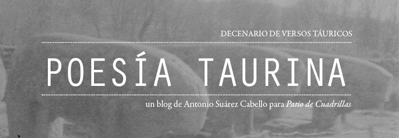 Poesía taurina: decenario de versos táuricos 