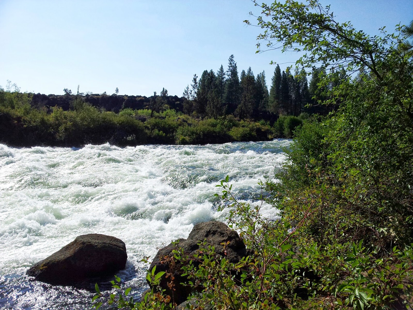 Charlie Bottita's Adventures Deschutes River Trail Mountain Bike Ride