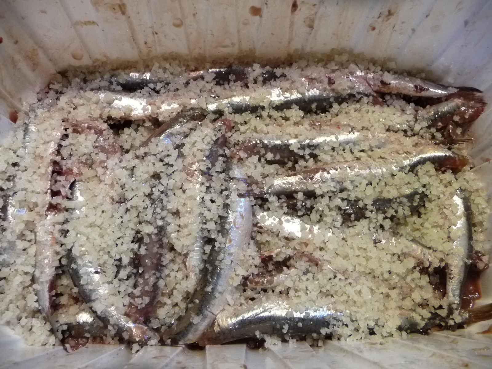 V ANCHOIS AU SEL