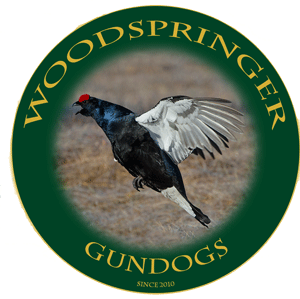 Woodspringer Gundogs