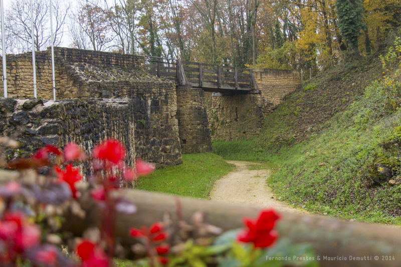 flores vermelhas e ponte flores vermelhas e ponte