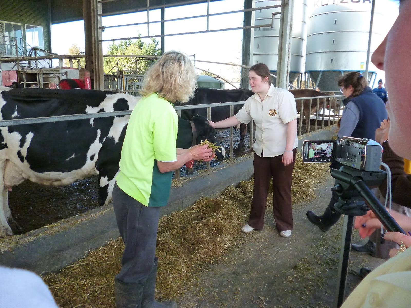 Shoalhaven High Archibull 2013: Team visits the first Robotic Dairy in NSW