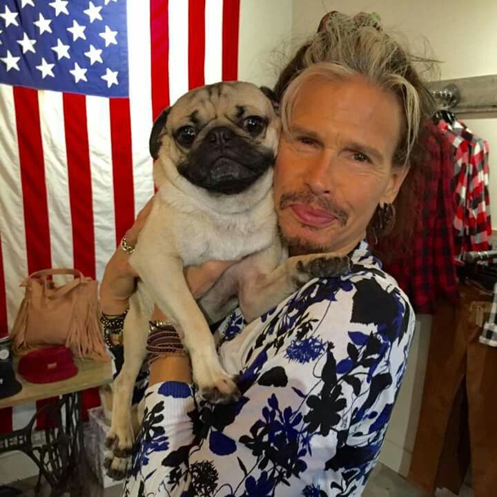 chris cornell pug twilight language chris cornell pug twilight language