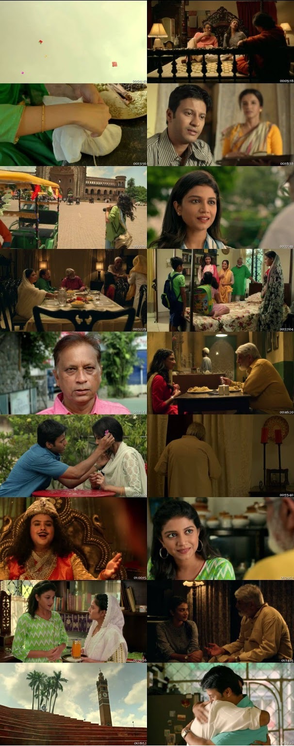 Daawat e Biryani 2019 Hindi 720p WEBRip